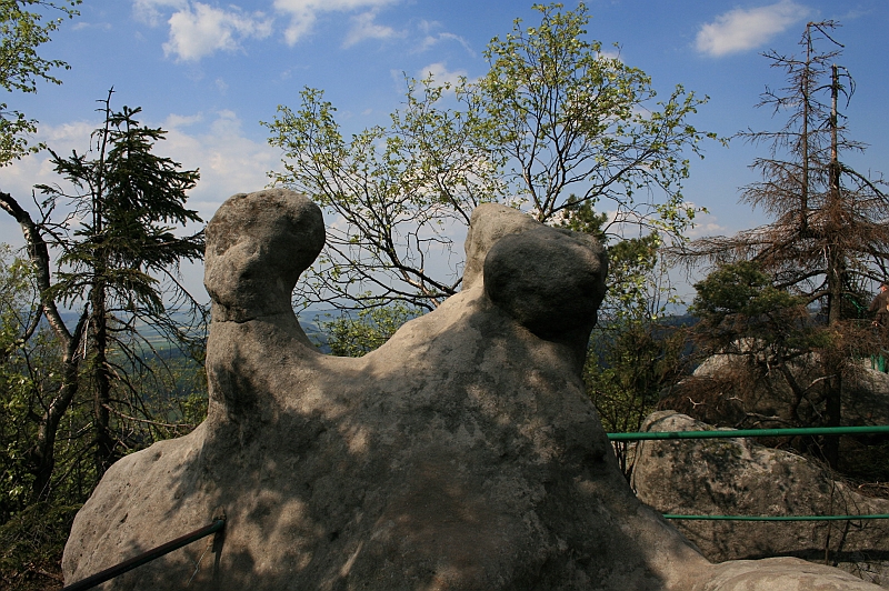 Original image